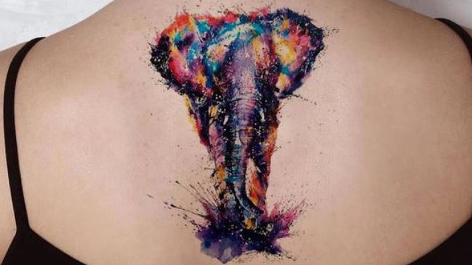 Éléphant coloré dans le dos