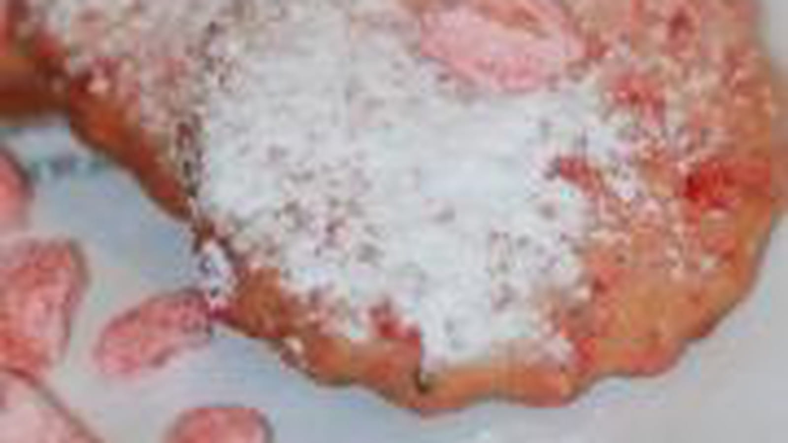 Sablés aux pralines roses