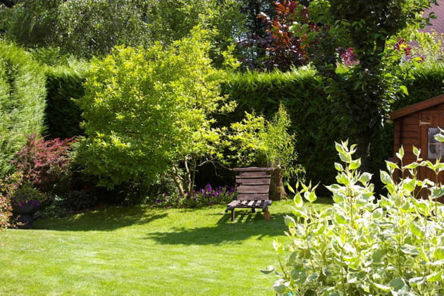 Une antique brouette