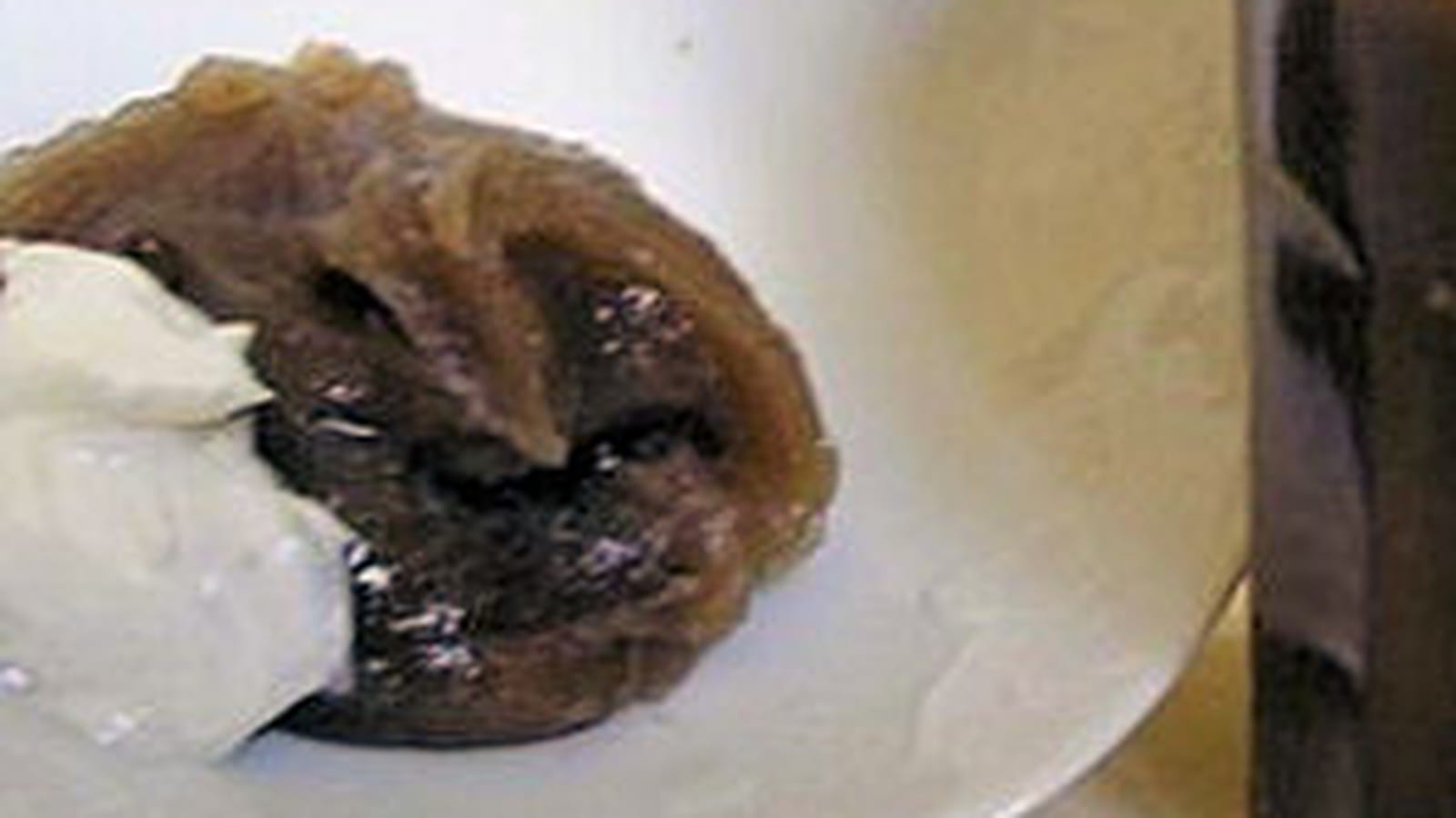 Crème de marrons maison