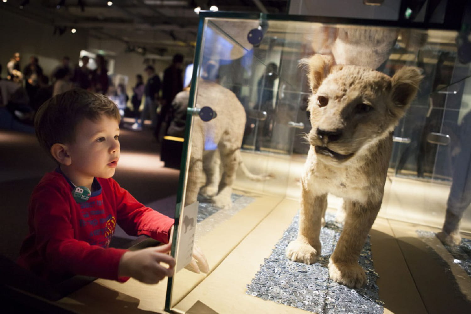 Bebes Animaux Une Expo Ludique Pour Les 2 7 Ans