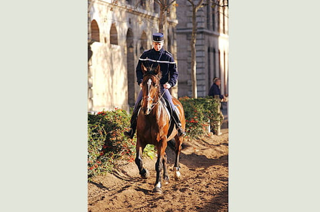 Le R&eacute;giment de Cavalerie