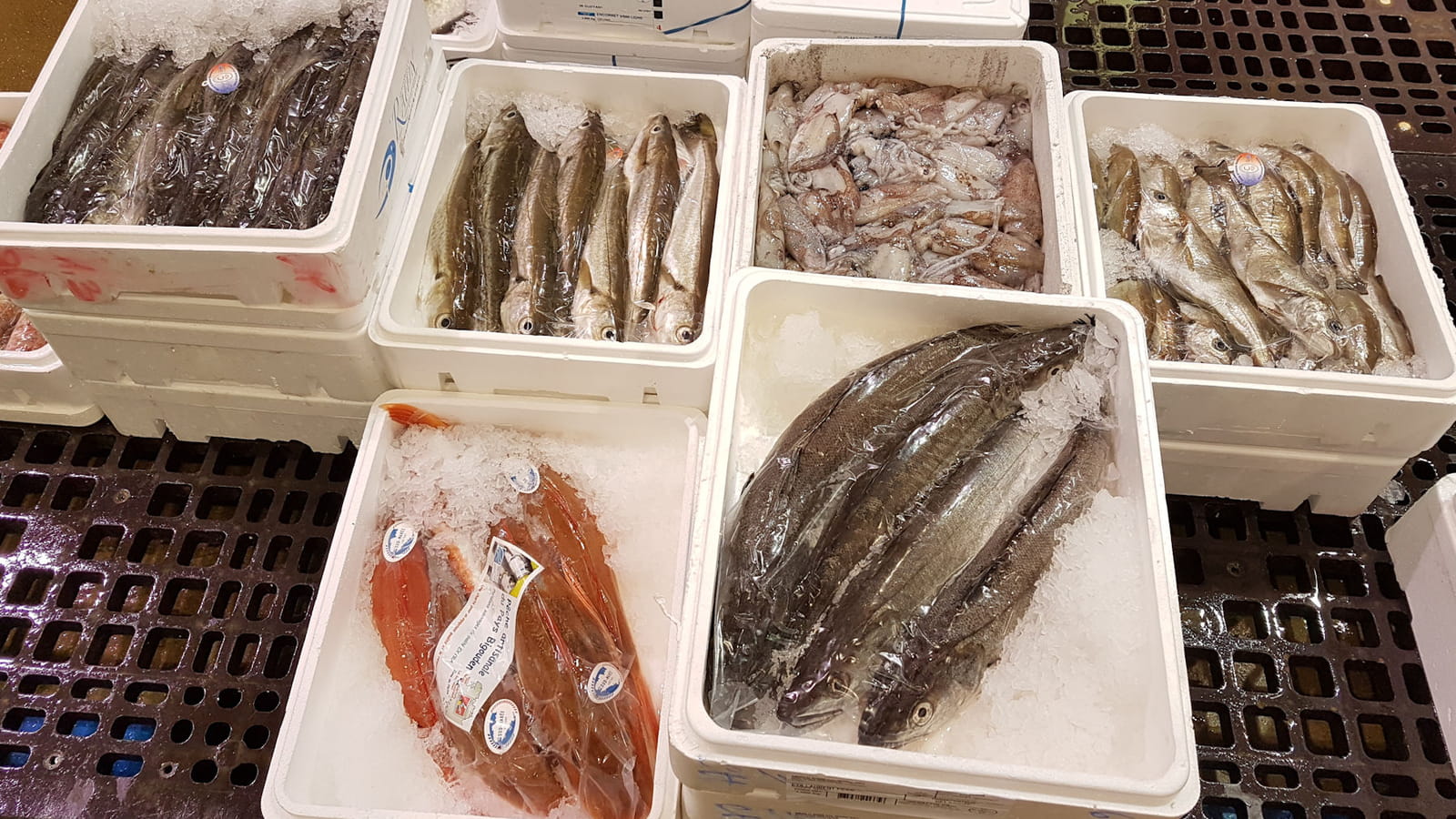 Poissons