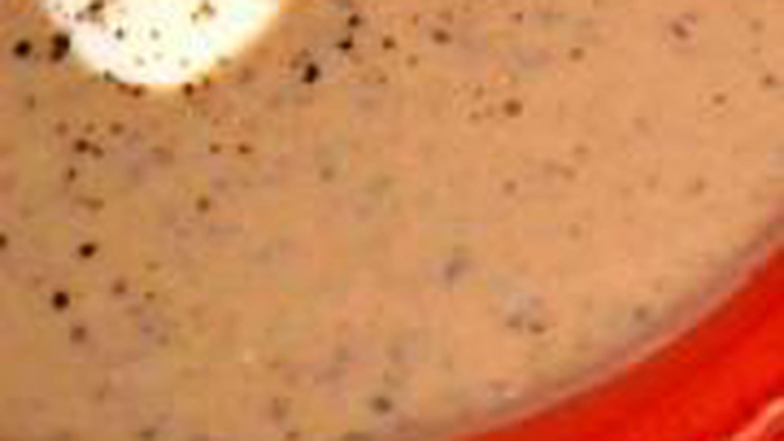Velouté de légumineuses à la ricotta