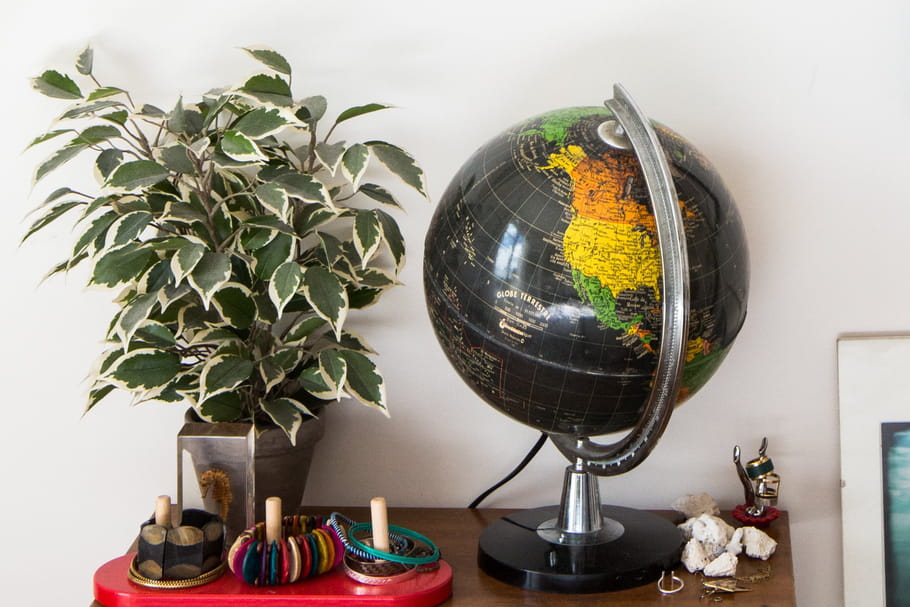 Ficus