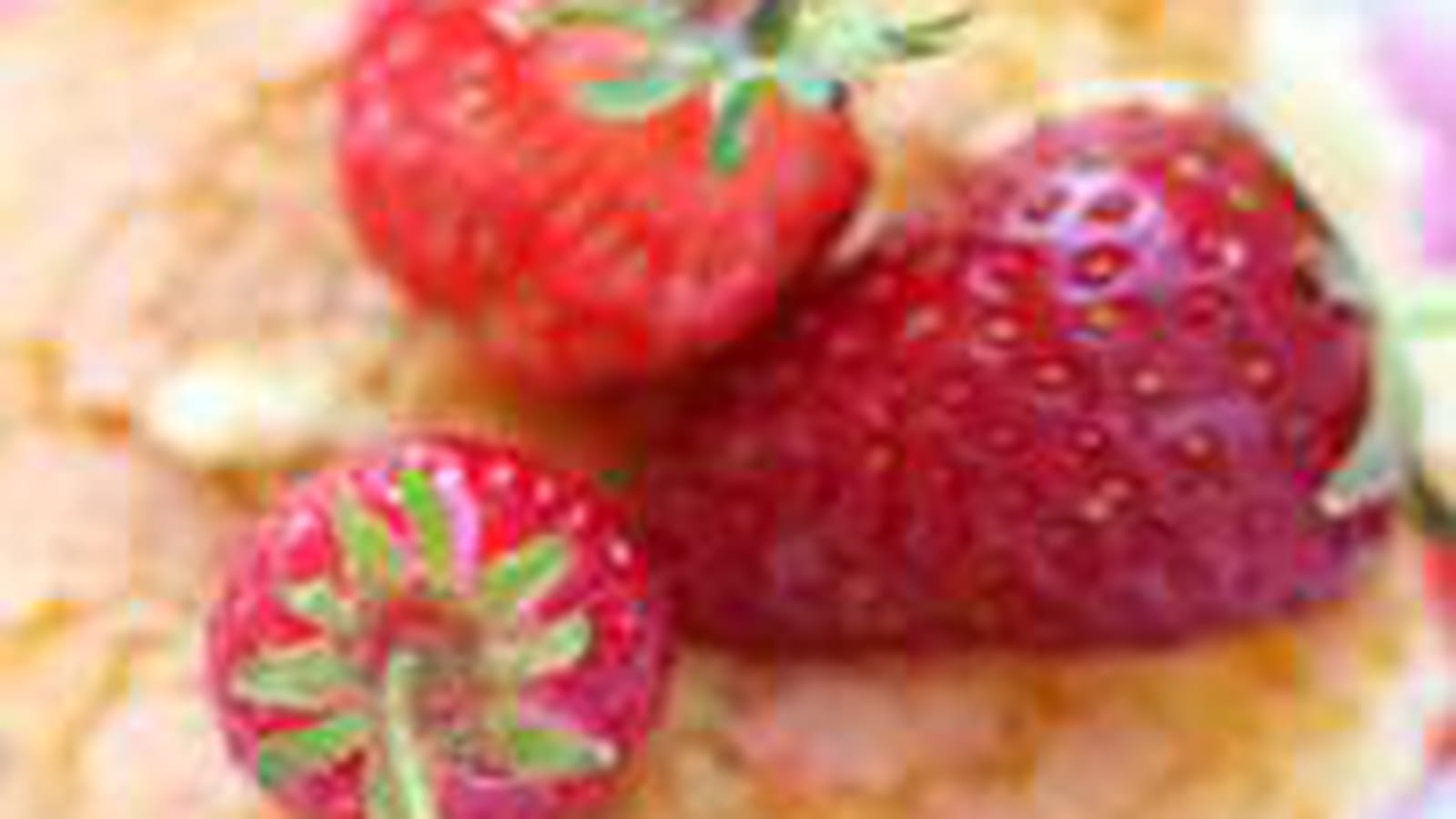 Fraises, biscuit suédois vanillé