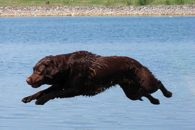 Graine de championne