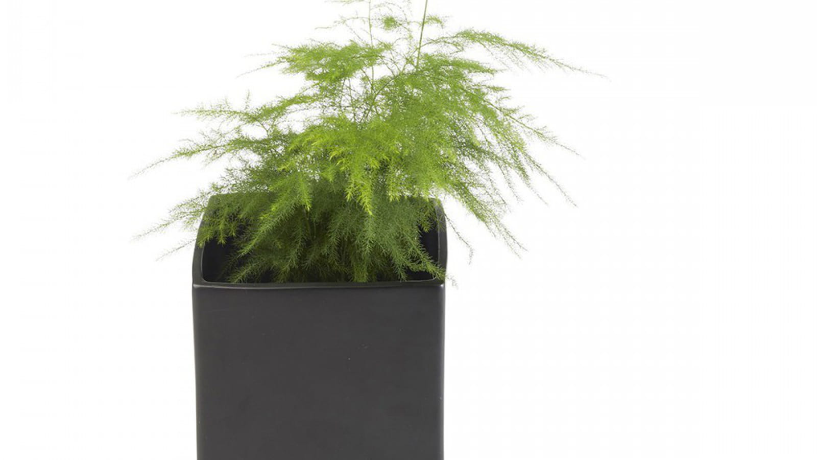Pot carré noir