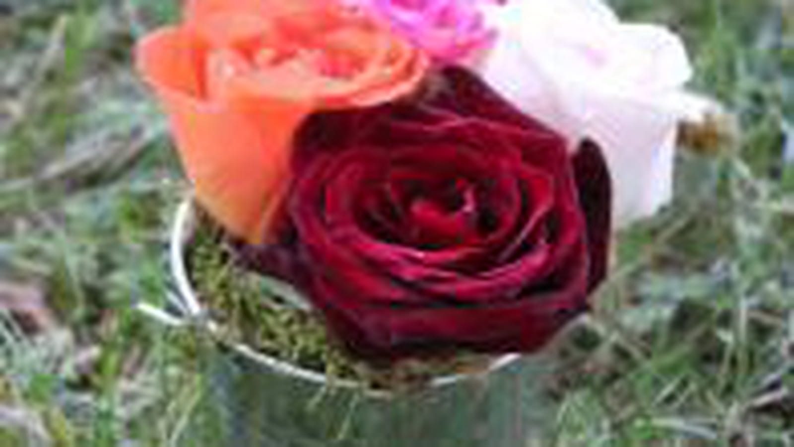 Composition florale