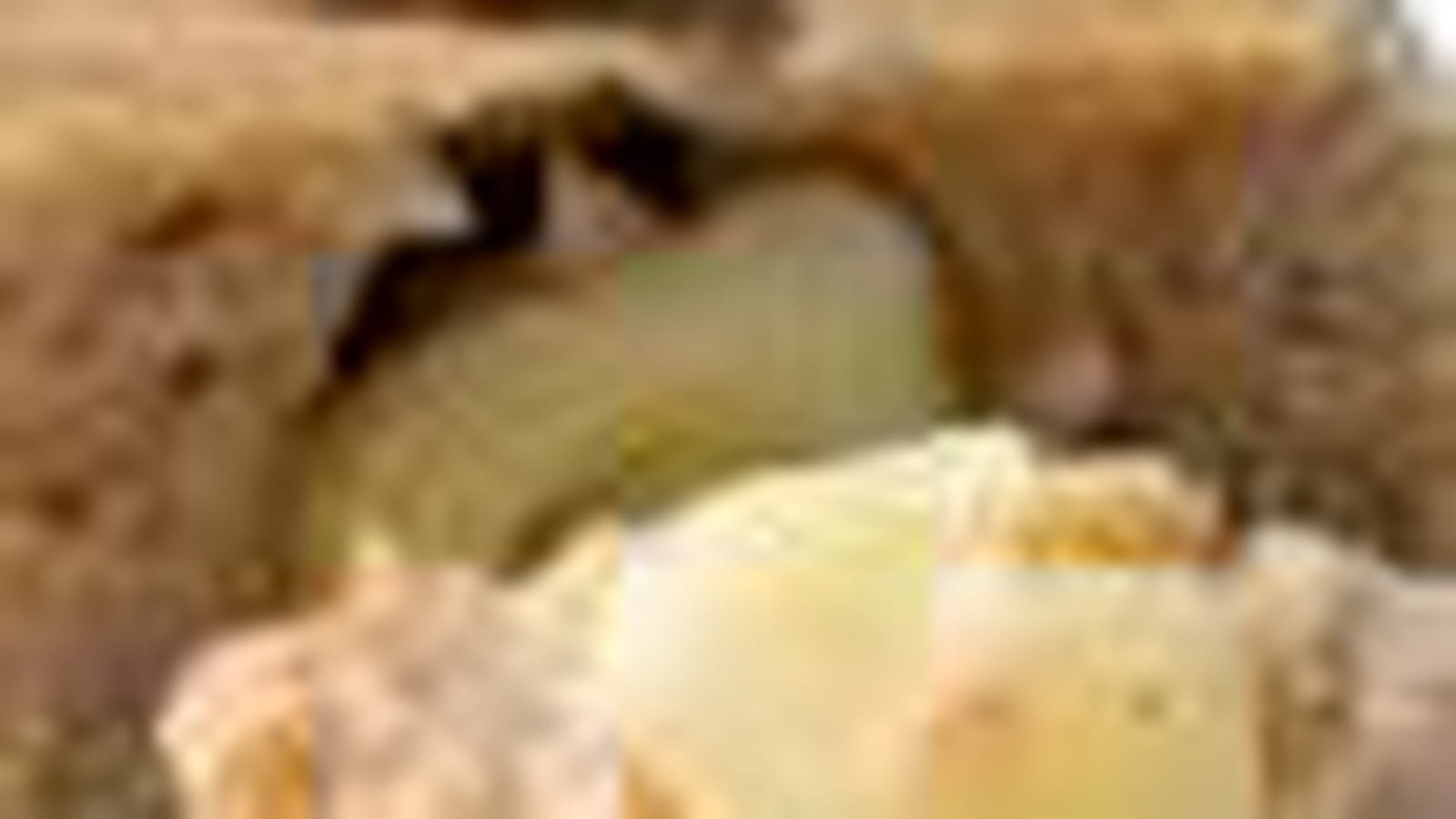 Moelleux poire-emmental