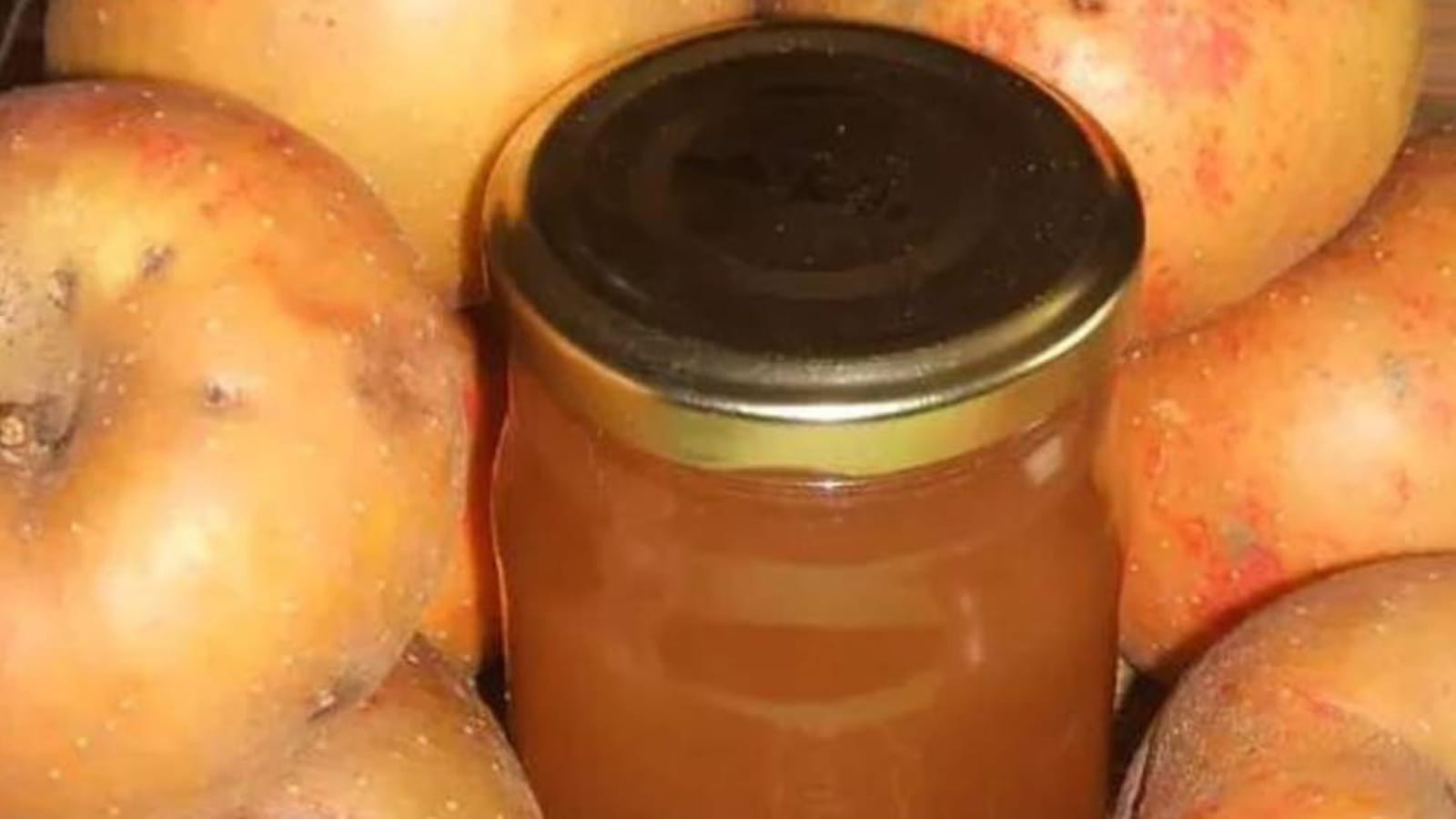 Gelée de pomme au cidre