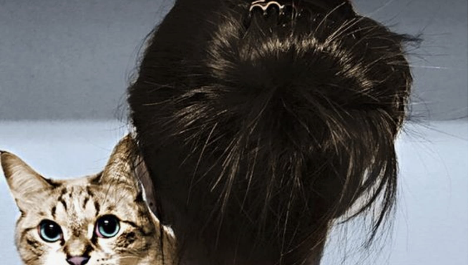 Les 20 plus beaux tatouages de chat