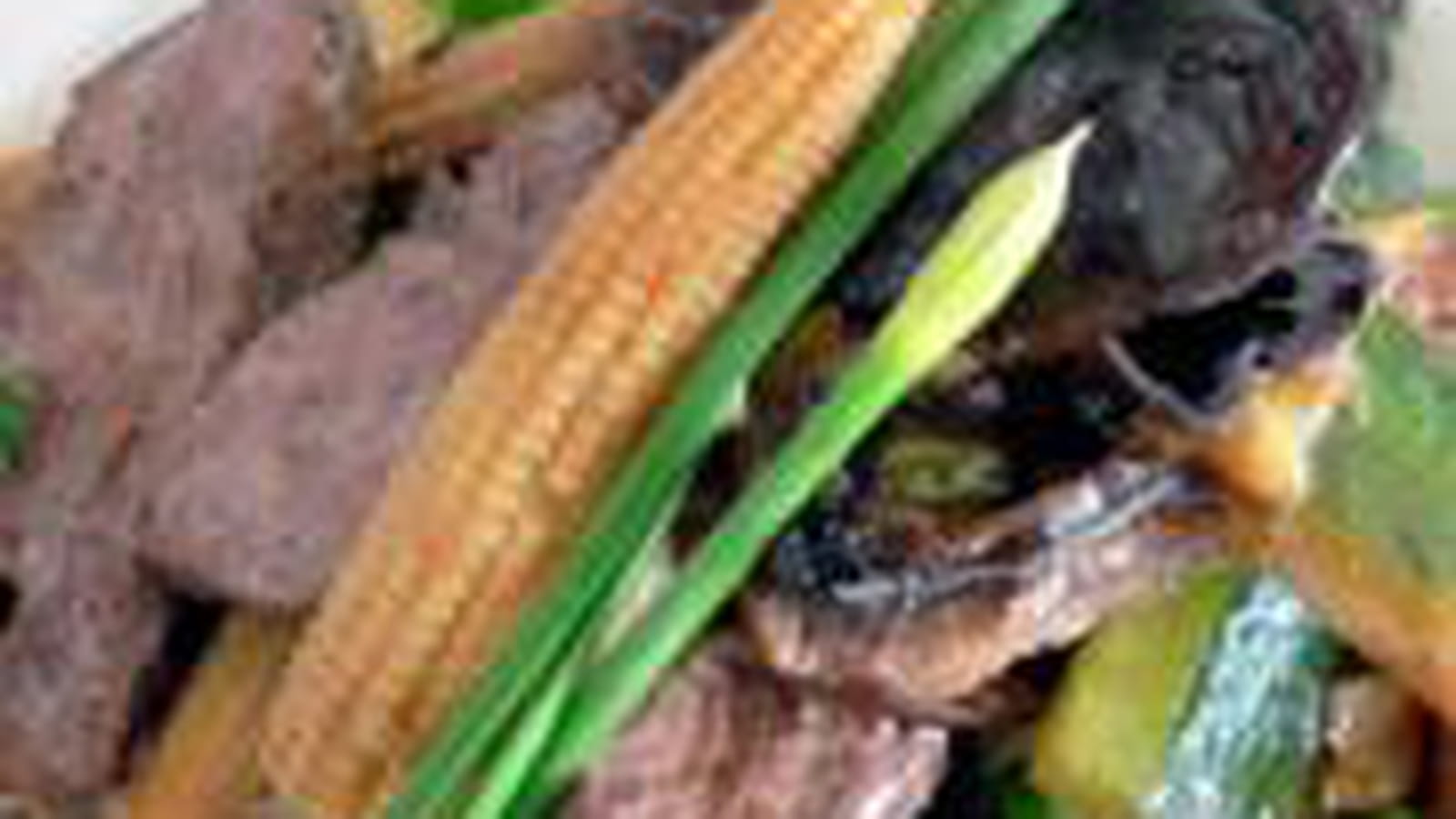 Magret de canard aux légumes