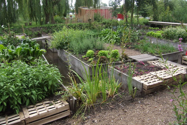 Légumes sur barque ou caisson flottant