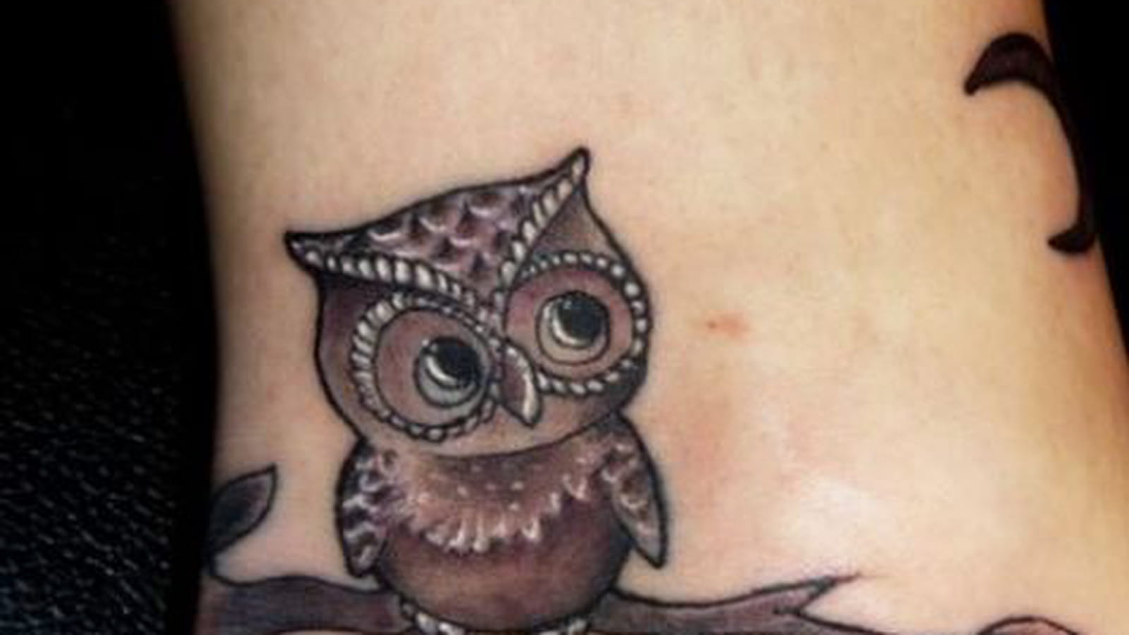 Hibou mignon sur la cheville