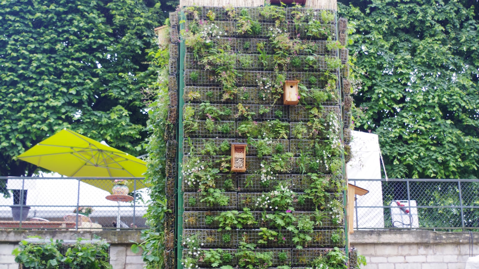 Faites le mur !