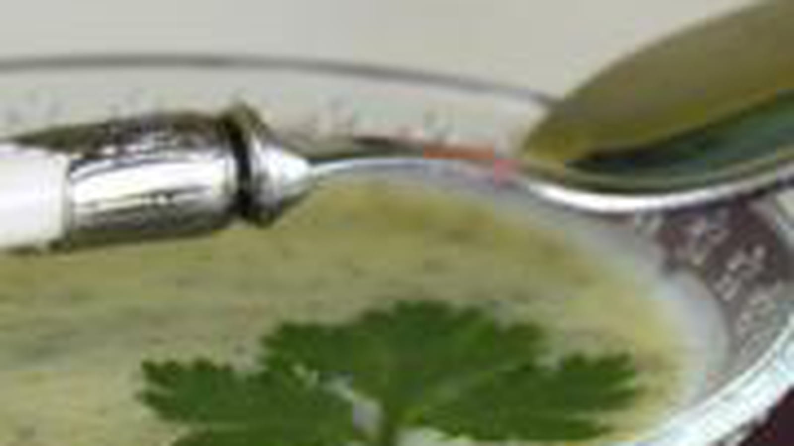 Soupe à la courgette et à la coriandre