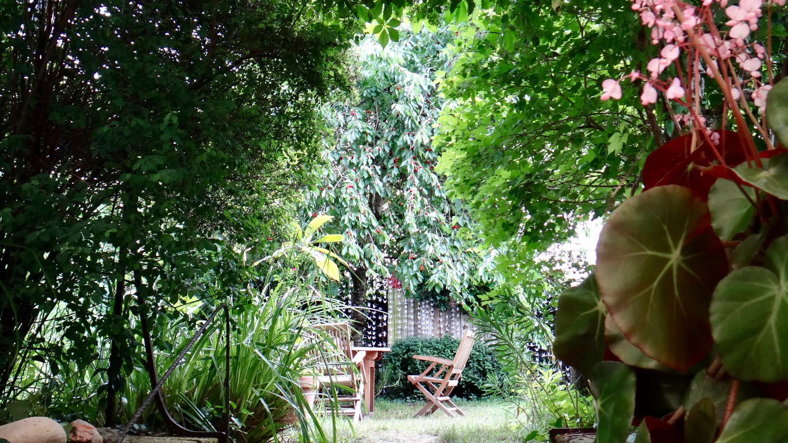 Jardin d’Isabelle Marrou