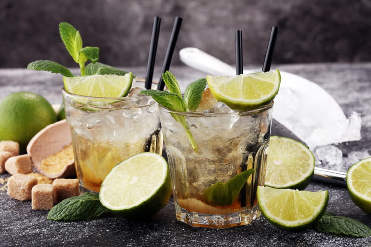 Recettes au gin : cocktail tonic, fizz, rose, ungava...