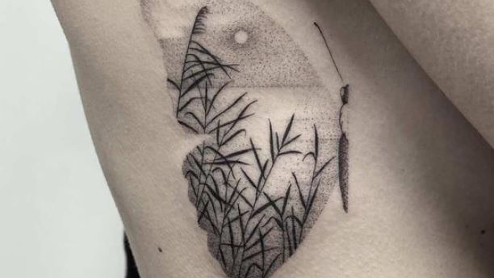 Papillon et paysage sur le flanc