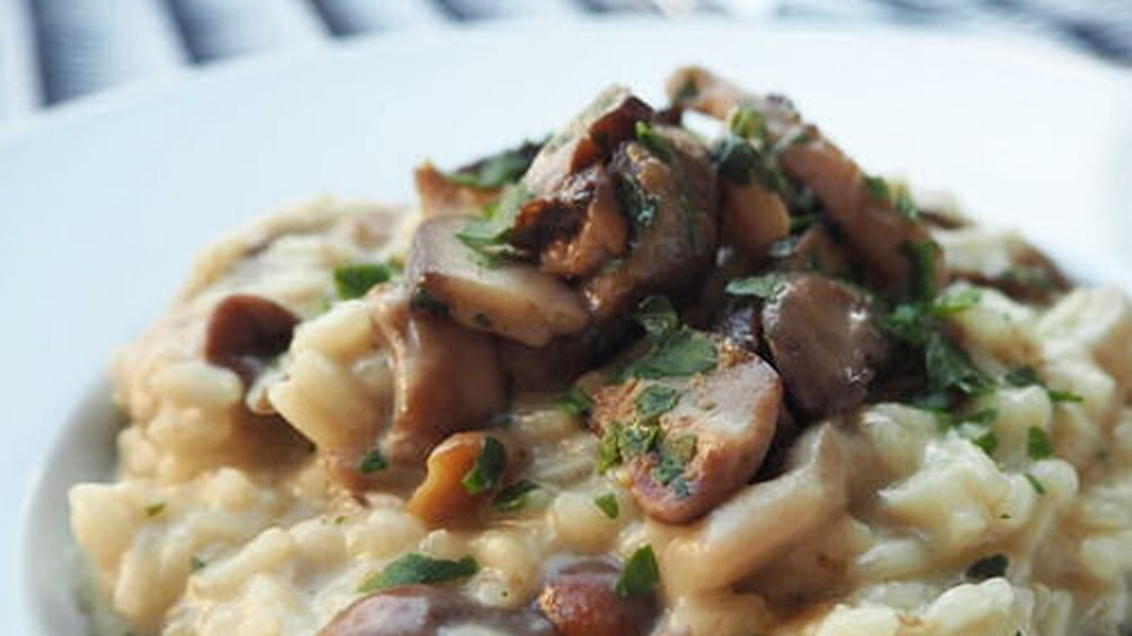 Risotto crémeux aux champignons des bois