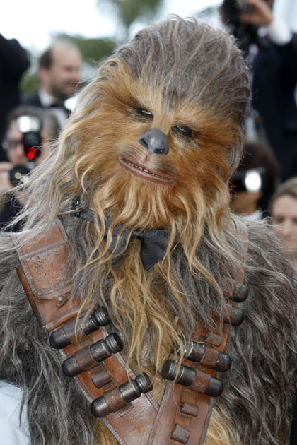 Chewbacca, photogénique