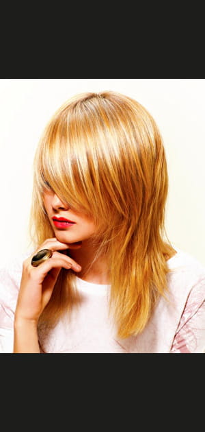 Le long d&eacute;grad&eacute;