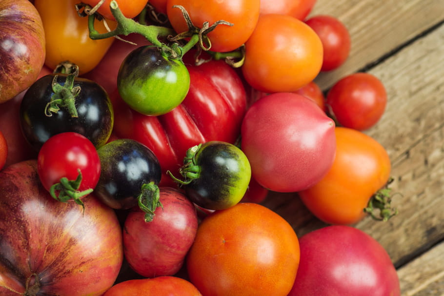 Quelles variétés de tomates pour quelle utilisation ?