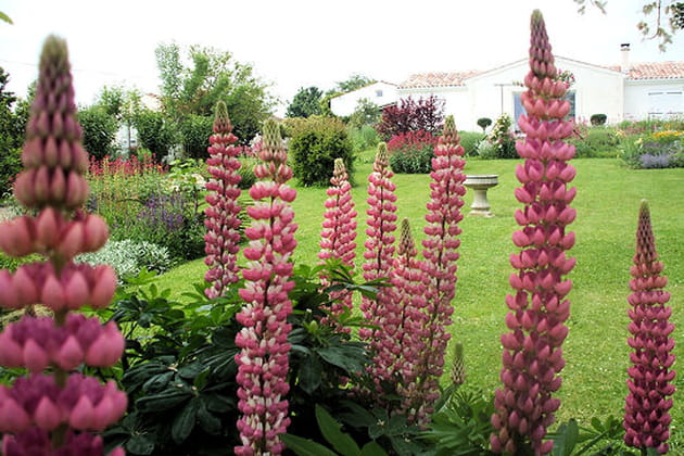 Le jardin de Raymonde