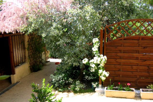 Un majestueux oranger du Mexique