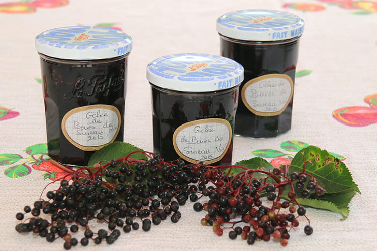 Recette De Gelee De Baies De Sureau Noires