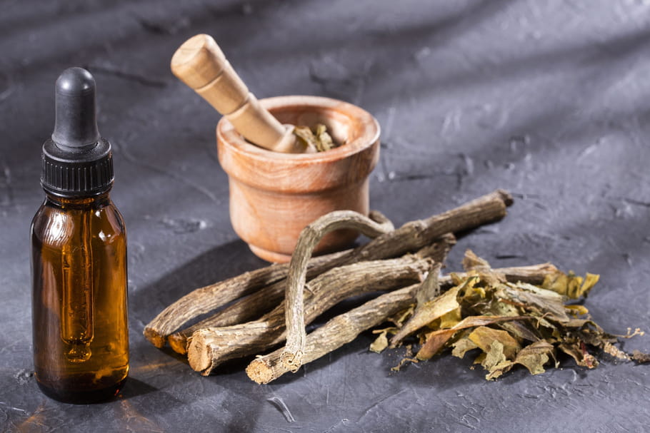 Valériane officinale : bienfaits, danger, infusion...