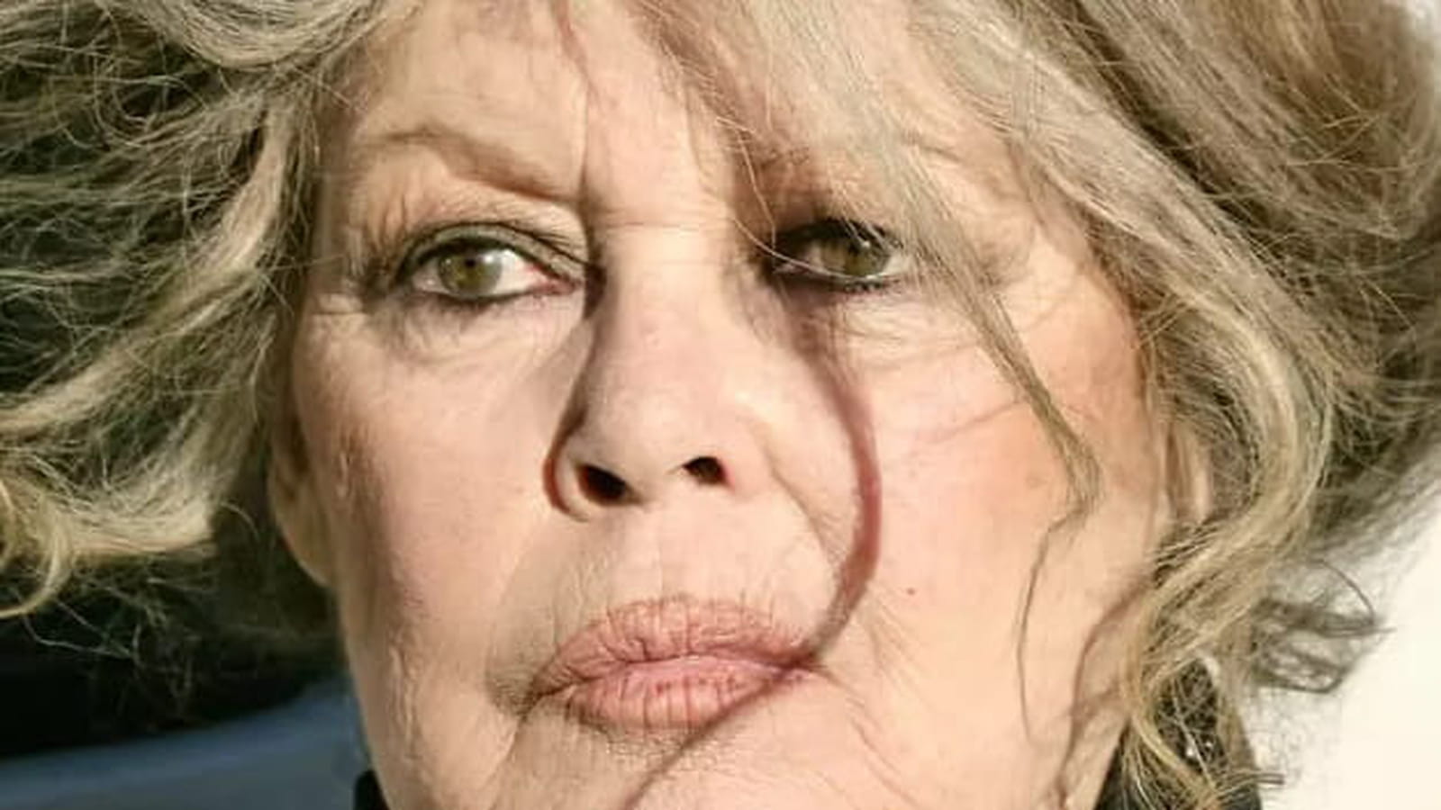 Brigitte Bardot