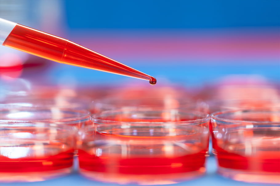 Coagulation du sang : interpréter les taux TP, TCA et TS