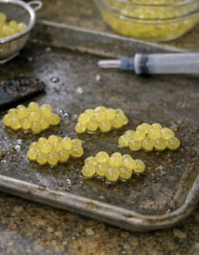 L'Escalier de Feu : le dessert au chocolat moléculaire du Chef Rodrigo Landa-Romero : Etape 2