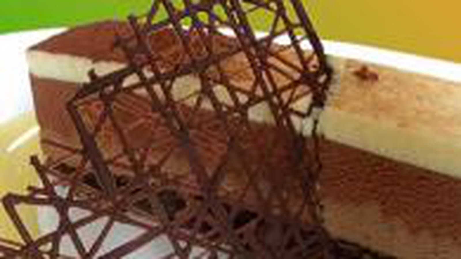 Bavarois endive, moelleux chocolat aux épices