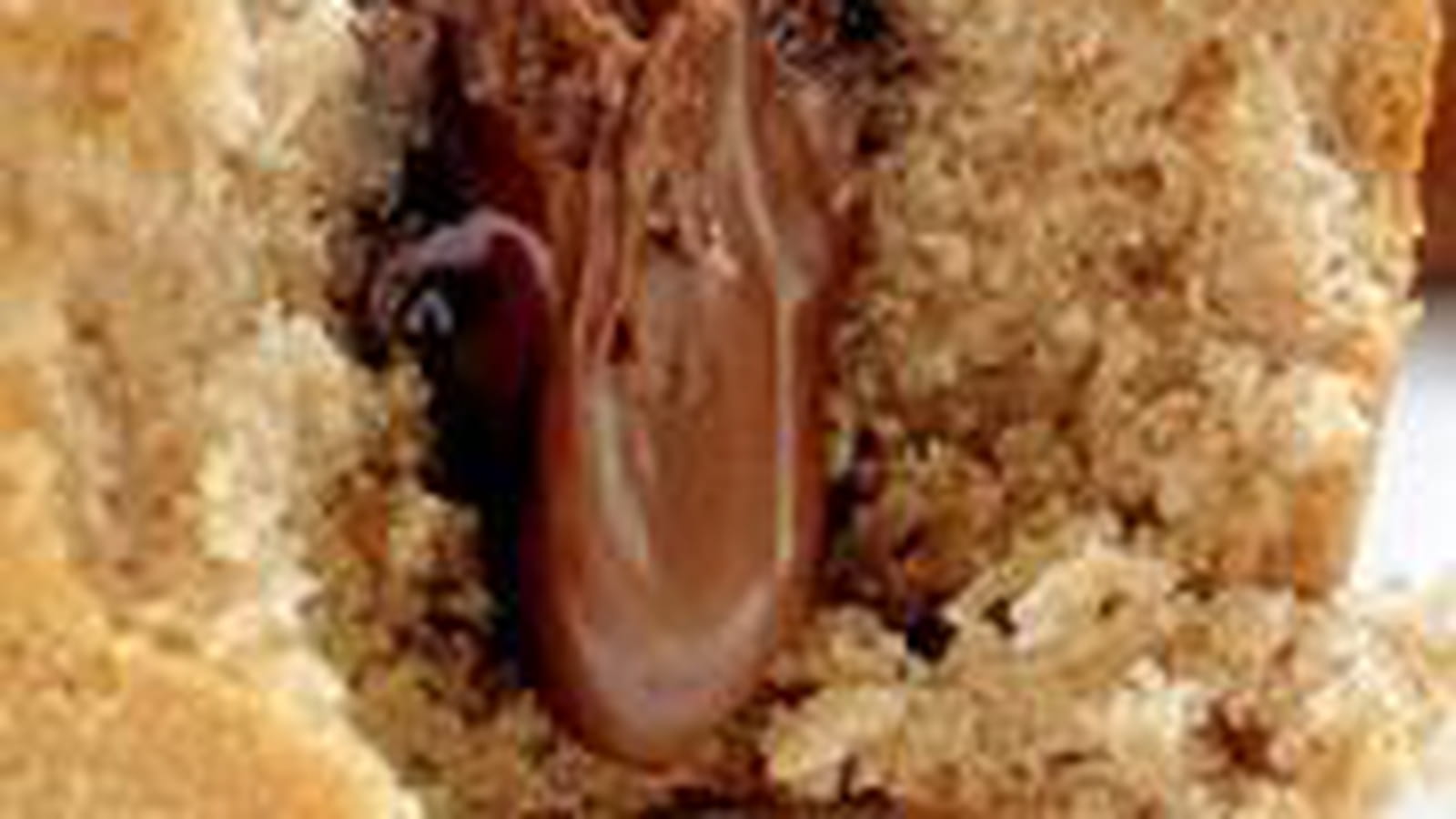 Moelleux châtaigne, miel & coeur chocolat au lait