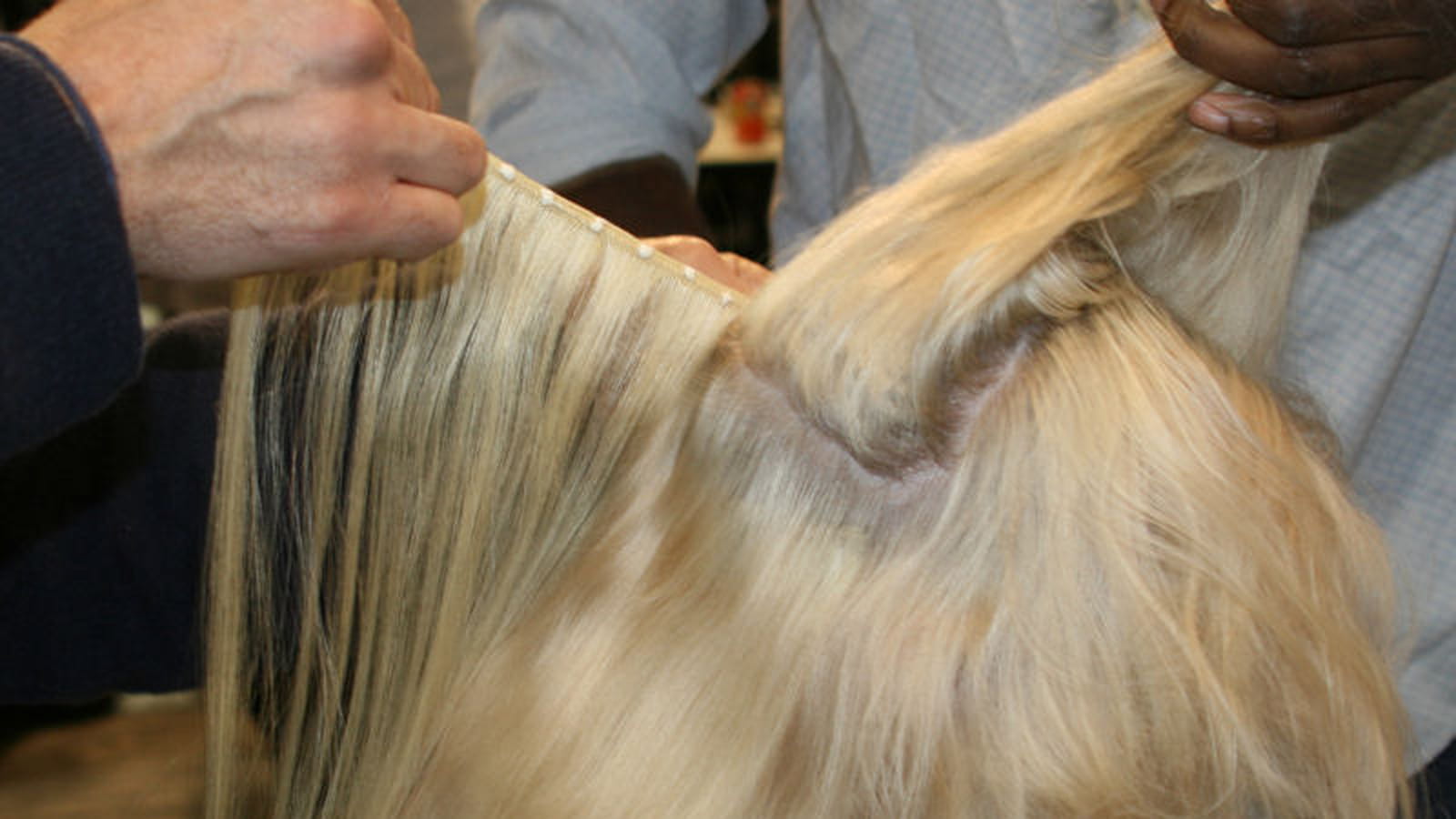 Les extensions 