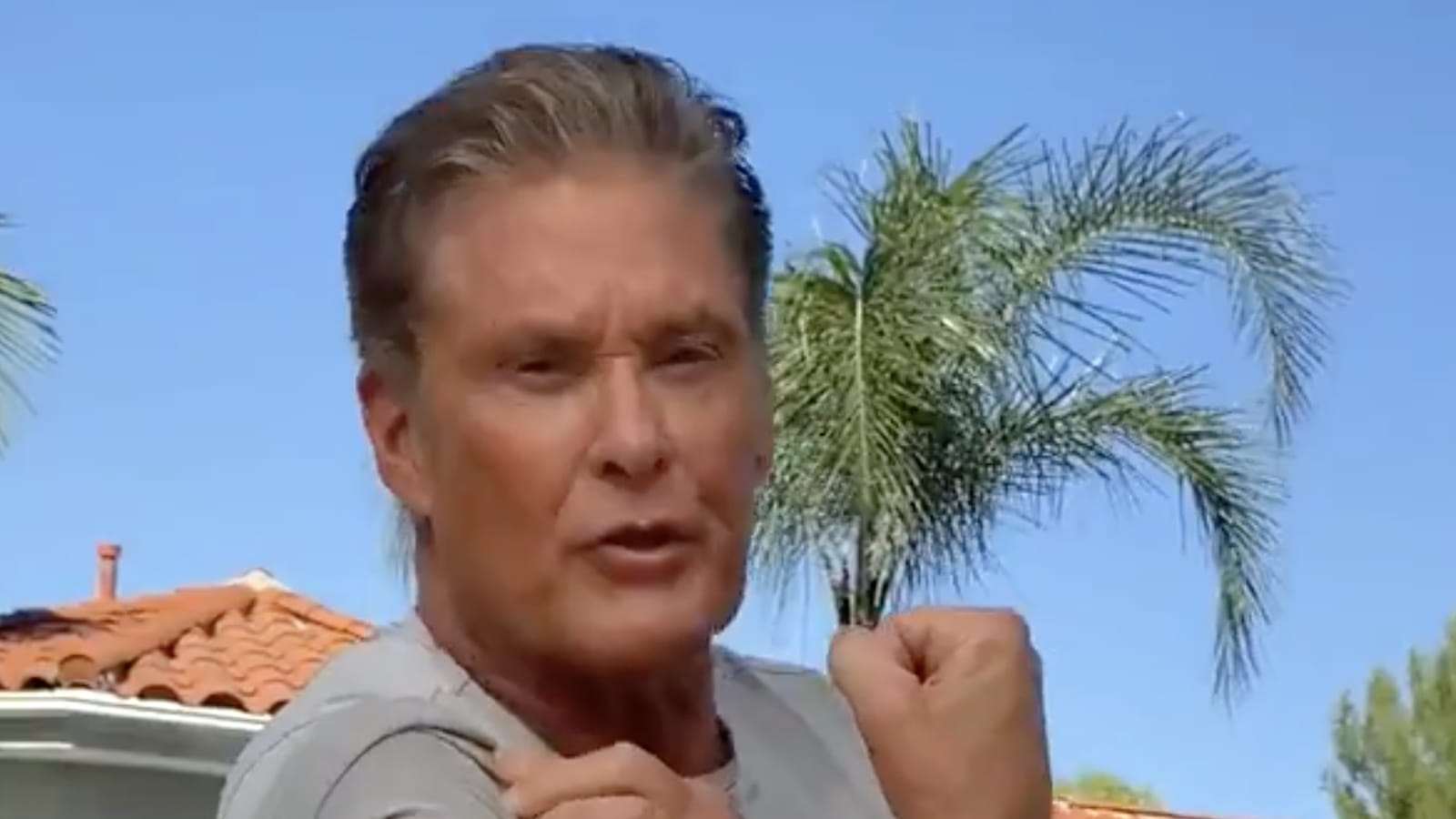 David Hasselhoff