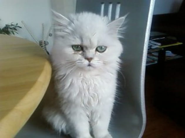 Un coup de fatigue&nbsp;?