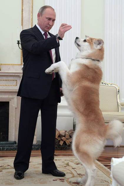 Vladimir Poutine, ma&icirc;tre-chien