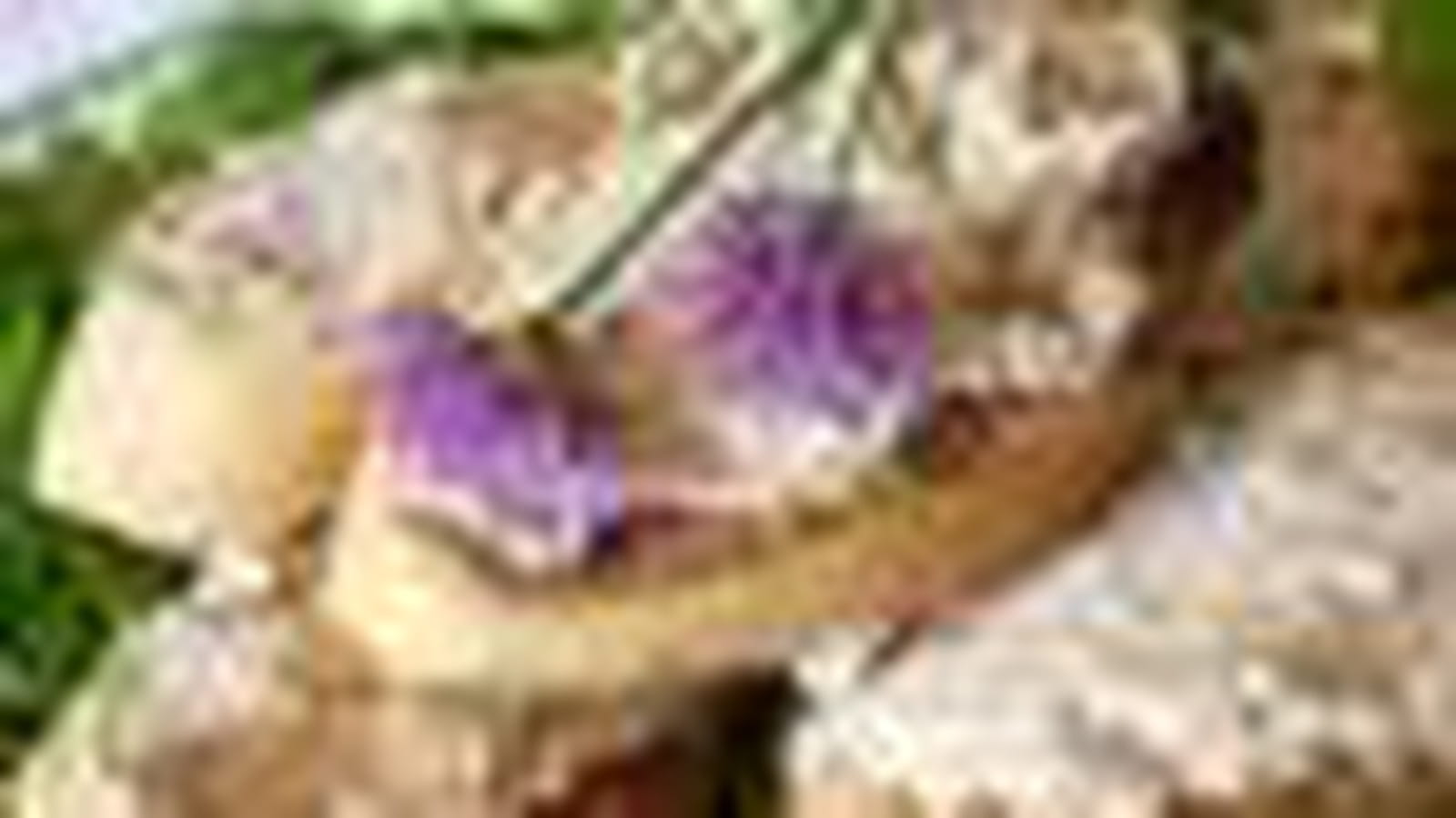 Rillettes