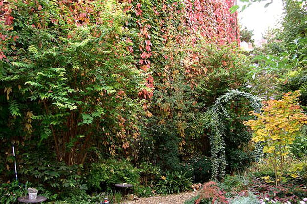 Couleur de l'automne