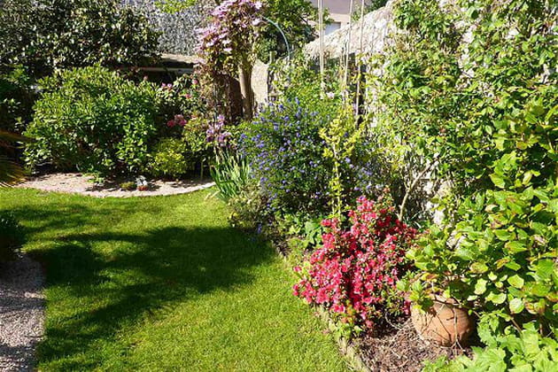 Des floraisons diff&eacute;rentes toute l'ann&eacute;e