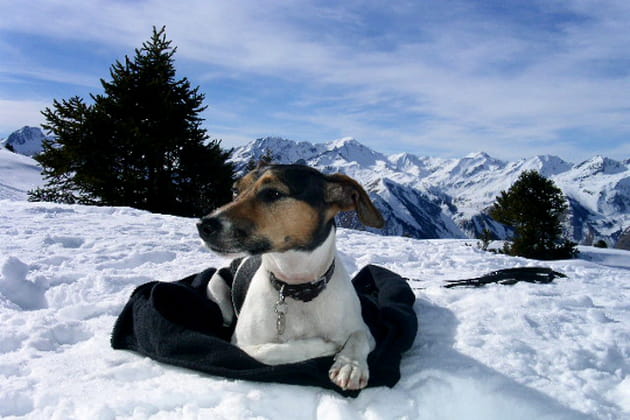 Ayate, belle et joueuse