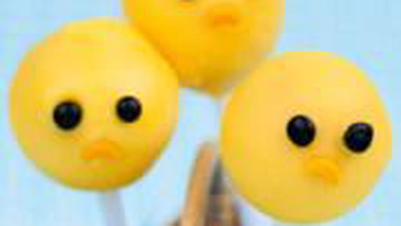 Pop poussins