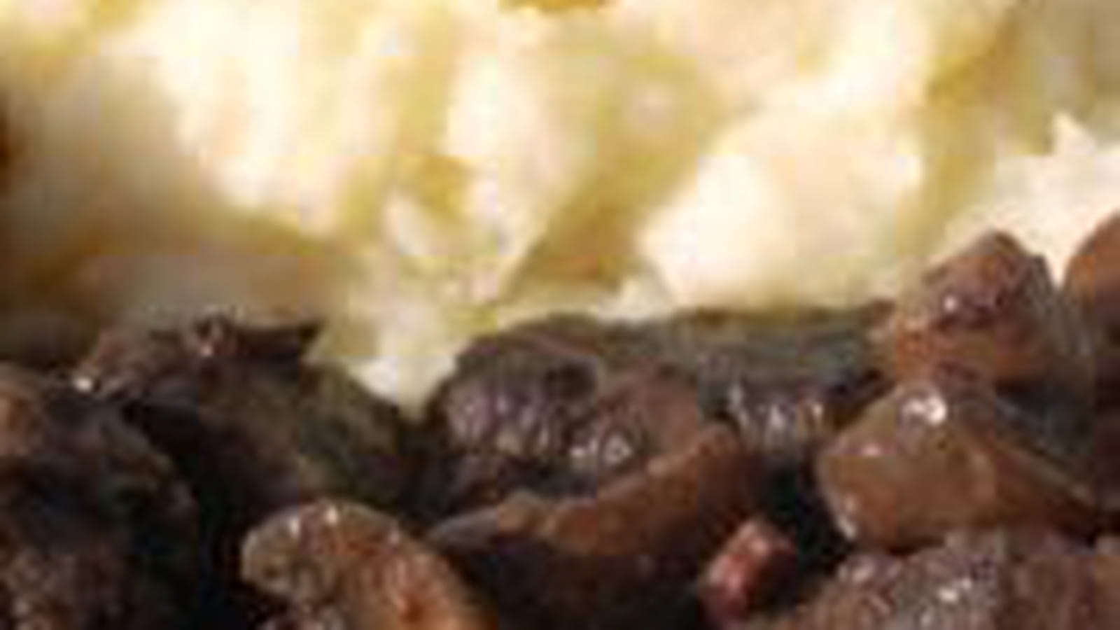 Daube de cerf aux pruneaux