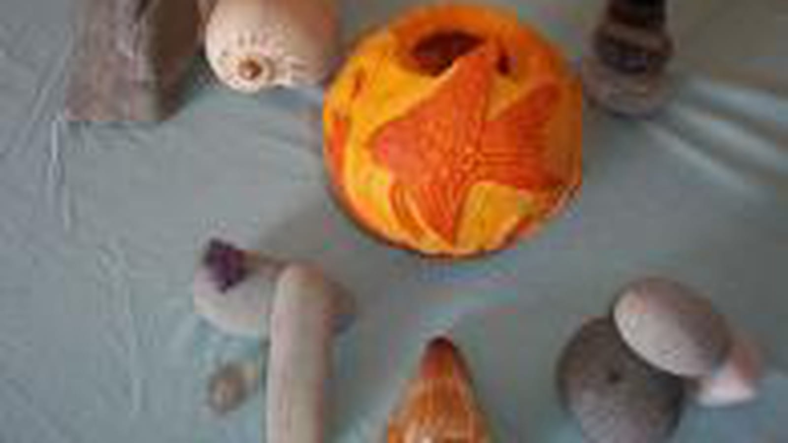 Aquarium végétal
