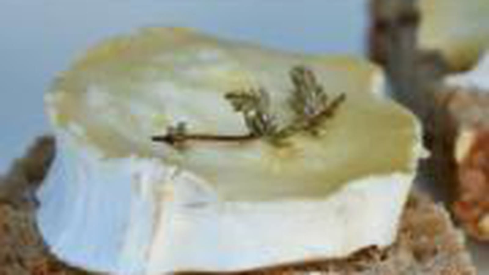 Tartines chèvre miel