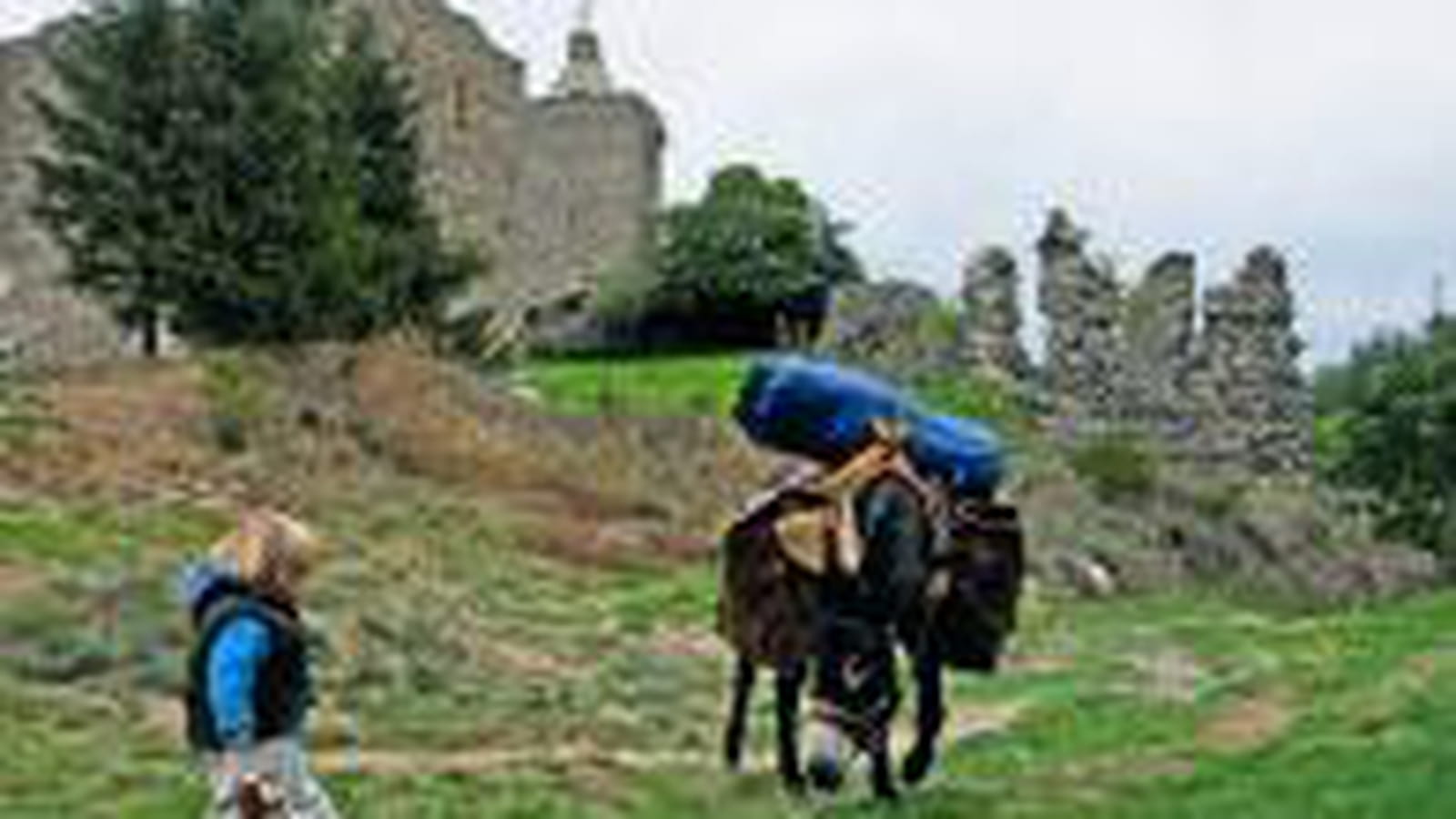 Le château de Luc